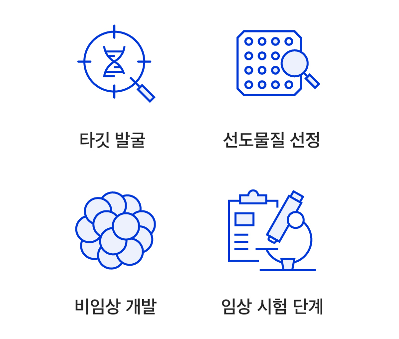 타깃 발굴 / 선도물질 선정 / 비임상 개발 / 임상 시험 단계